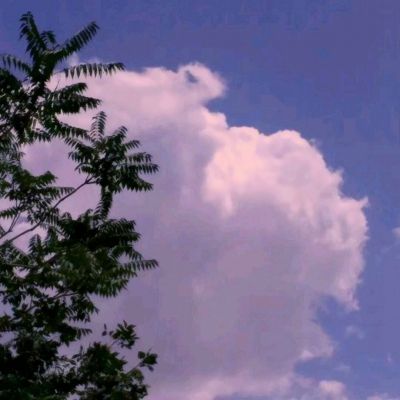 乐宝体育官网登录入口下载手机版截图